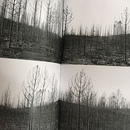 Should We Keep Doing Things The Way We Do?