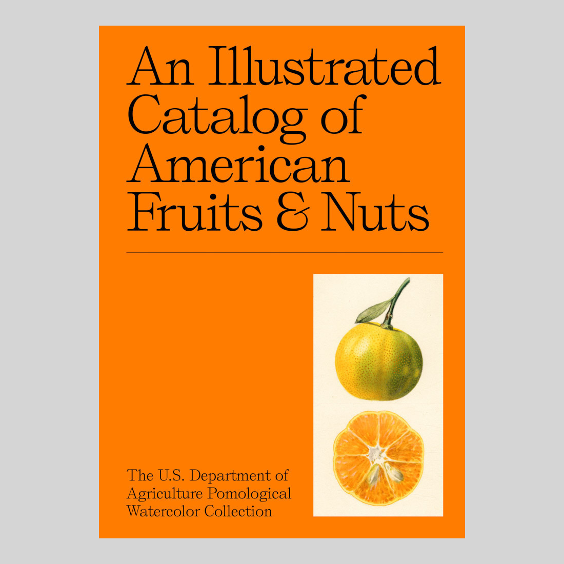 An Illustrated Catalog of American Fruits & Nuts: The U.S. Department of Agriculture Pomological Wat