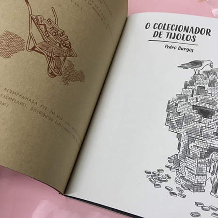 O Colecionador De Tijolos