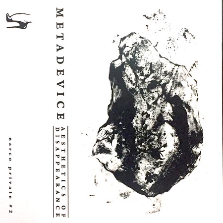 Aesthetics Of Disappearance