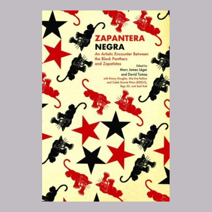Zapantera Negra : An Artistic Encounter Between Black Panthers and Zapatistas, New & Updated Edition